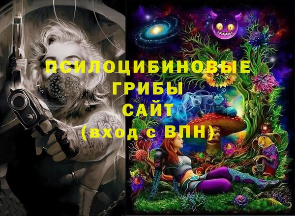 мяу мяу мука Беломорск